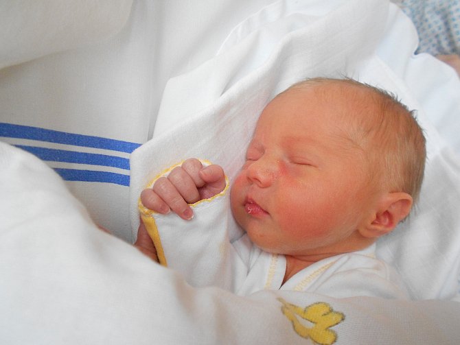 LILIANA JANEČKOVÁ se narodila 13. prosince v 19.45 hodin. Po narození vážila 2520 g. Velikou radost udělala svým rodičům Andree Binoačové a Michalu Janečkovi z Rokytnice v Orlických horách. Tatínek to u porodu zvládnul skvěle.