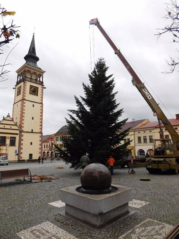 Vánoční strom v Dobrušce.