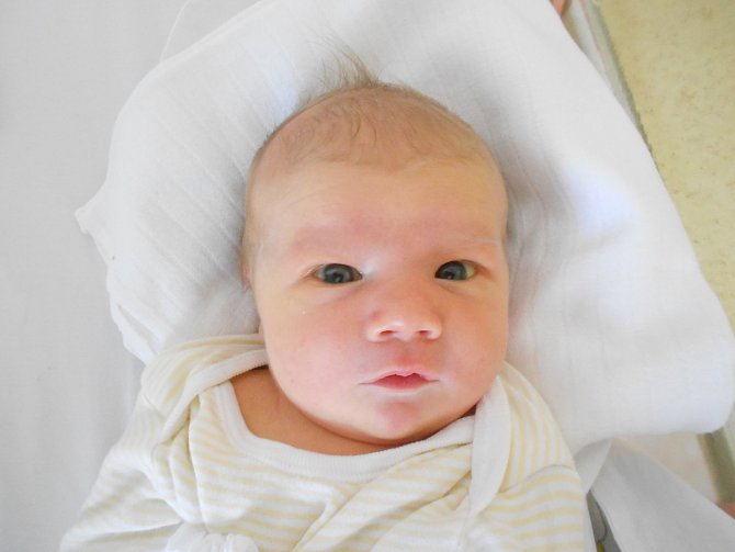GABRIELA NOVÁKOVÁ se narodila 28. ledna ve 14.23 hodin. Měřila 50 cm a vážila 3450 g. Velkou radost udělala svým rodičům Kristýně a Tomáši Novákovým z Tutlek. Doma se těší sestřička Sofie.