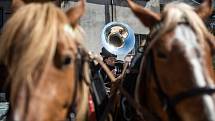 Skupina Black Burinos projela Rychnovem nad Kněžnou, v době karantény tak zahrála občanům z pojízdného pódia.