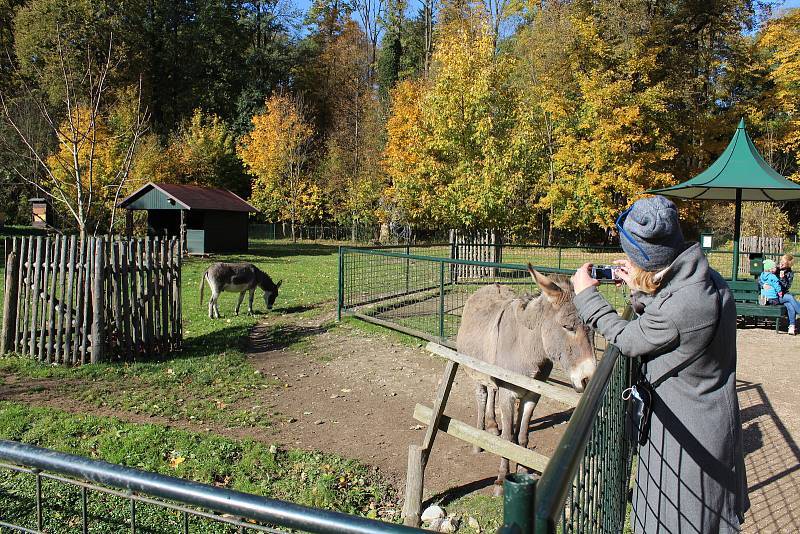 Z minizoo v Častolovicích.