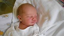 Alžběta Adamcová je prvorozenou dcerou Alžběty a Lukáše Adamcových z Nekoře. Světlo světa spatřila 4. února 2020 v 16.01 hodin. Měřila 50 cm a vážila 3 100 g. Tatínek byl u porodu a zvládl to výborně.