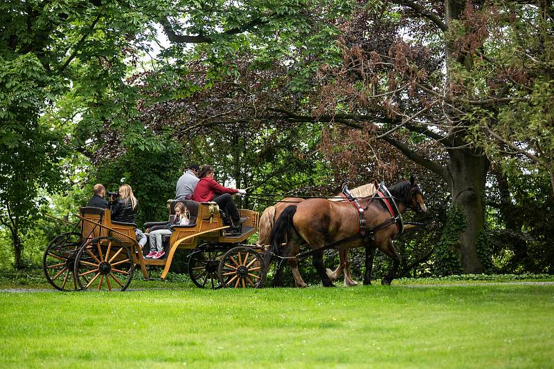 V anglický park s romantickými stavbami a vodopády nechal před dvěma stoletími přeměnit údolí Zlatého potoka pod opočenským zámkem Rudolf Josef Colloredo-Mansfeld (1772 - 1843). Oslavy kulatého výročí parku se staly součástí Víkendu otevřených zahrad.