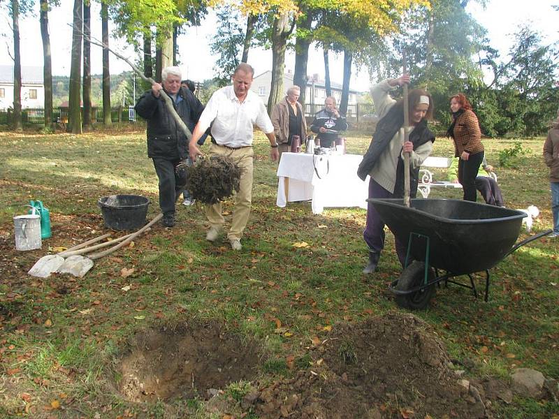 Strom byl středem pozornosti