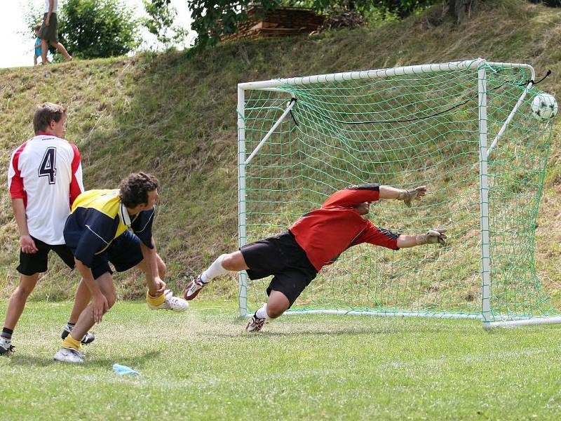 Vršovan Cup.