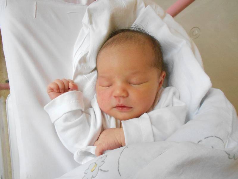 VANDA STEKLÍKOVÁ přišla na svět 1. ledna. Měřila 50 cm a vážila 3750 g. Nejvíce potěšila své rodiče Lenku Zilvarovou a Lukáše Steklíka z Ježkovic. Tatínek to u porodu zvládl na jedničku s hvězdičkou.