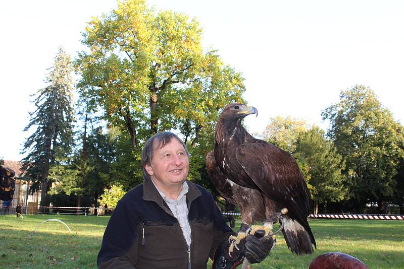 Sokolníci s dravci slavnostně zahájili setkání v Opočně.