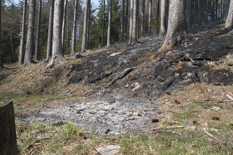 U lesního požáru u Olešnice v Orlických horách zasahovali čeští i polští hasiči.