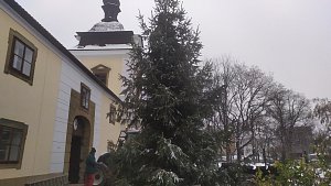 V pondělí stanul vánoční strom před rychnovským zámkem. 9. prosince se můžete těšit na Zámecké adventní trhy.