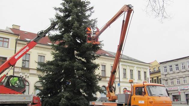 Vánoční strom už stojí na Starém náměstí.