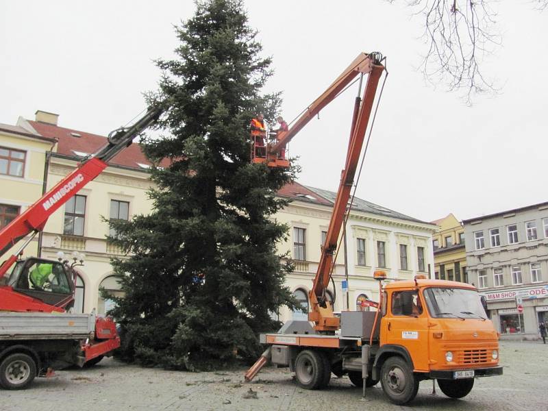 Vánoční strom už stojí na Starém náměstí.
