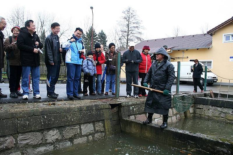 Výlov Broumaru.