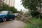 Letní bouřka ve čtvrtek 23. července porazila strom v Orlické ulici v Dobrušce. 