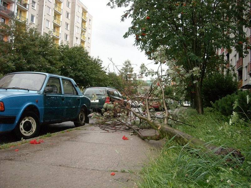 Letní bouřka ve čtvrtek 23. července porazila strom v Orlické ulici v Dobrušce. 