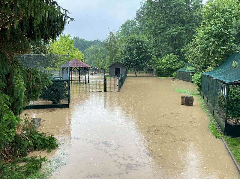 Voda zaplavila zámecký park i zvěřinec.