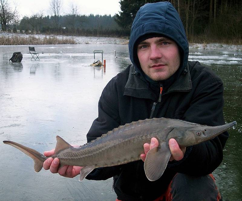 Rybář tělem i duší, aneb Silvestr na rybách - soutěžní foto zaslal Jiří Hlaváček, Týniště nad Orlicí.