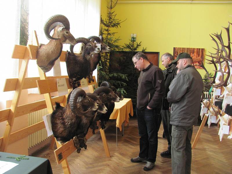 Chovatelská přehlídka trofejí úspěšně odstartovala.