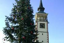 Vánoční strom v Dobrušce se „oblékl“ do svátečního.