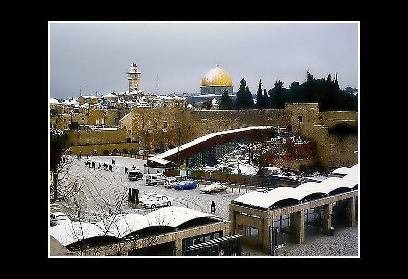 Sice to není foto s vánočním stromečkem ale zajímavá je již proto, že padal v Israeli sníh. Kuriozita, páč tam je to pro ně svátek a děti nejdou do školy jen aby si sněhu užili. Zastaví se i doprava a lidé chodí raději pěšky. Eva Chvátalová,Týniště n. O.