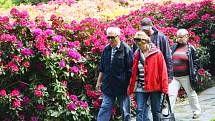 SVÁTEK kvetoucích rododendronů si v sobotu ve Svitavách nenechaly ujít stovky lidí. Návštěvníci fandili také favoritům Voříškijády. Při přehlídce se bylo na co dívat. Nejsympatičtější psi získali mimo jiné i pořádný věnec z buřtů.