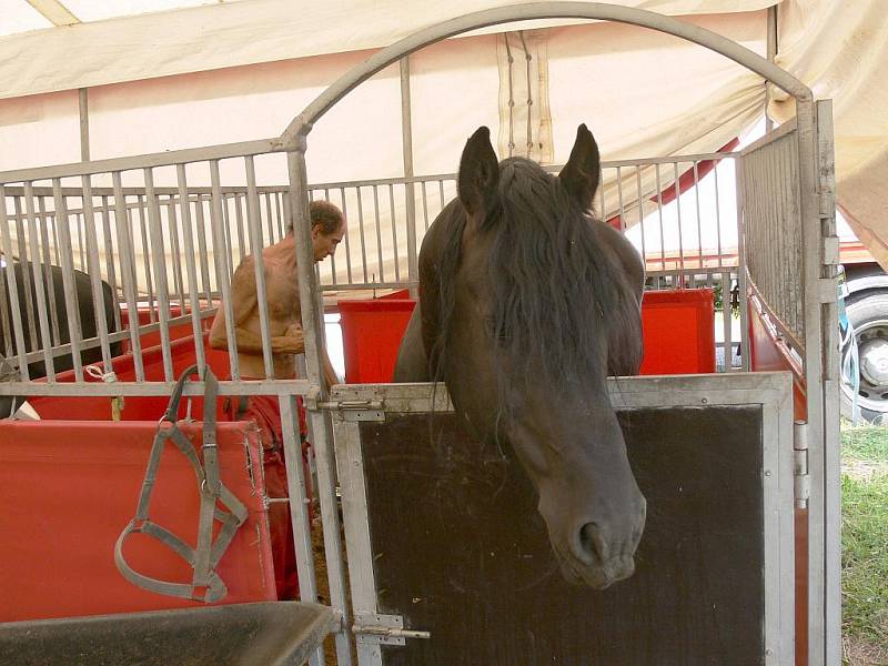 Cirkus Bernes přijel do Svitav.