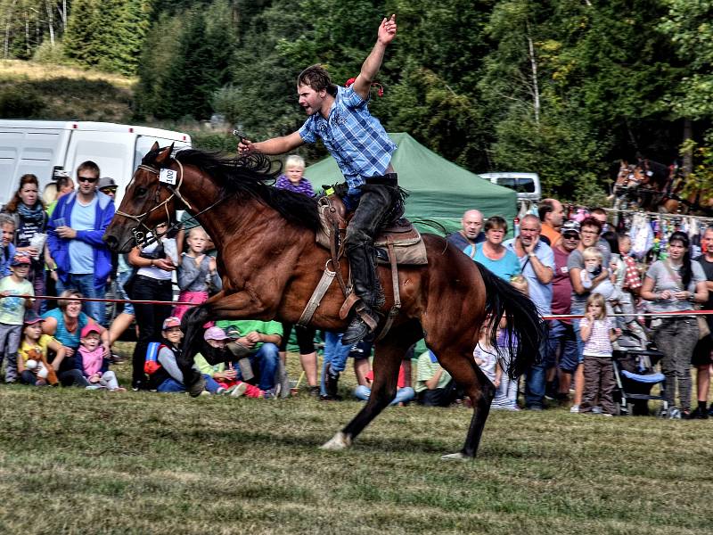 DESÍTKY KONÍ  se předvedly v neděli na jubilejním 20. ročníku Formanského dne v Borové u Poličky.