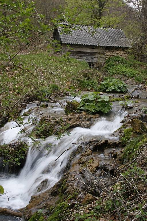 Rumunsko navštívila moravskotřebovská fotografka dvakrát. Snímky z této země jsou pro ni srdeční záležitostí.