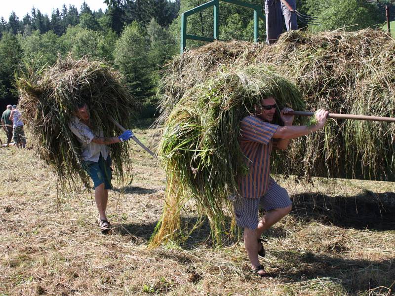 Dobrovolníci zachraňovali rostliny v chráněné oblasti Damašek.