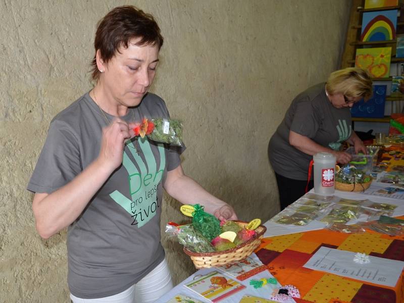 Tříkráloví koledníci se sešli ve Svitavách. Charita pro ně připravila program jako poděkování. Všichni navíc byli u toho, když kněz posvětil auto, na které sbírka přispěla.