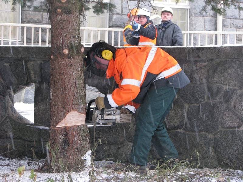 Vánoční strom putoval z Třebařova na náměstí do Moravské Třebové. Dvanáctimetrový smrk pichlavý rozsvítí Moravskotřebovští v první adventní neděli