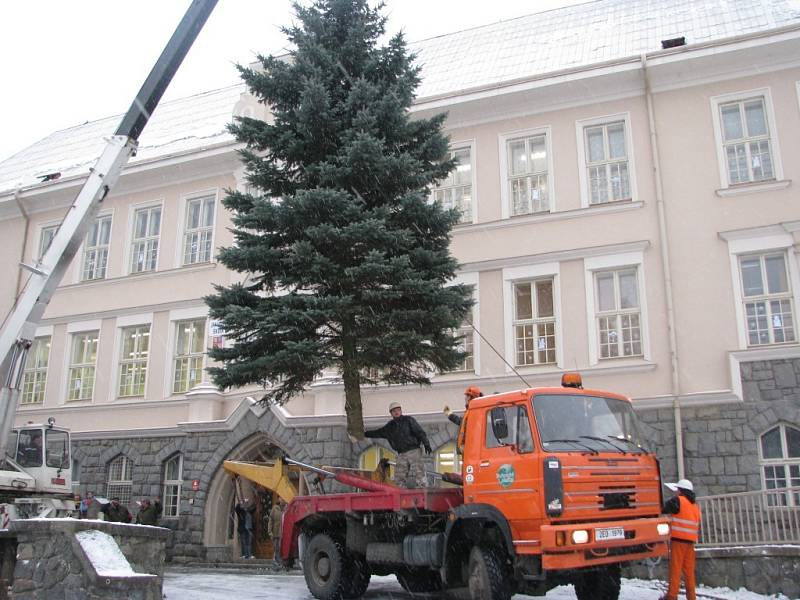 Vánoční strom putoval z Třebařova na náměstí do Moravské Třebové. Dvanáctimetrový smrk pichlavý rozsvítí Moravskotřebovští v první adventní neděli