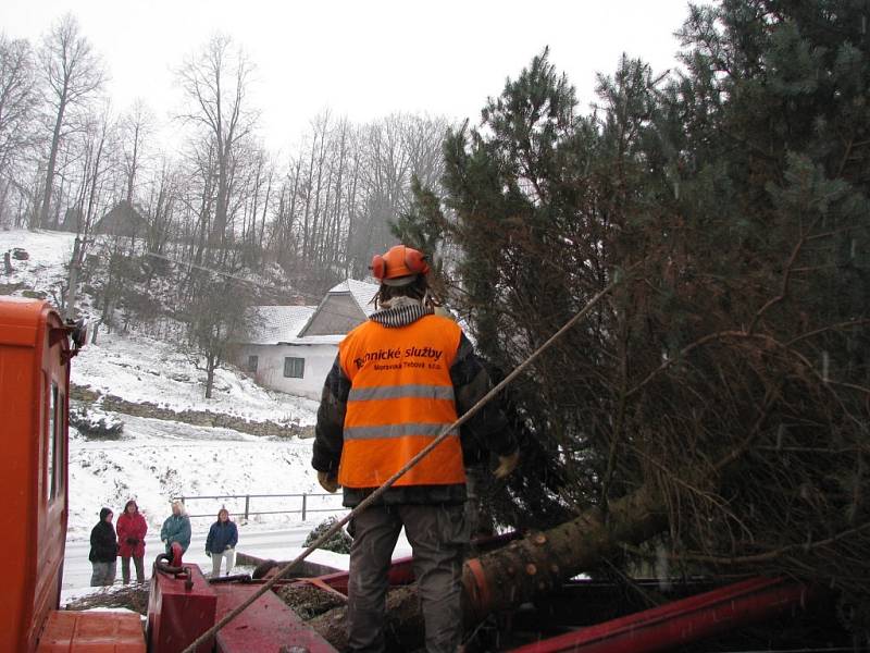 Vánoční strom putoval z Třebařova na náměstí do Moravské Třebové. Dvanáctimetrový smrk pichlavý rozsvítí Moravskotřebovští v první adventní neděli