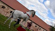 3. ročník oblastní přehlídky koní na festivalu Biskupické kaléšek v Biskupicích u Jevíčka. Divákům se představilo 20 koní.