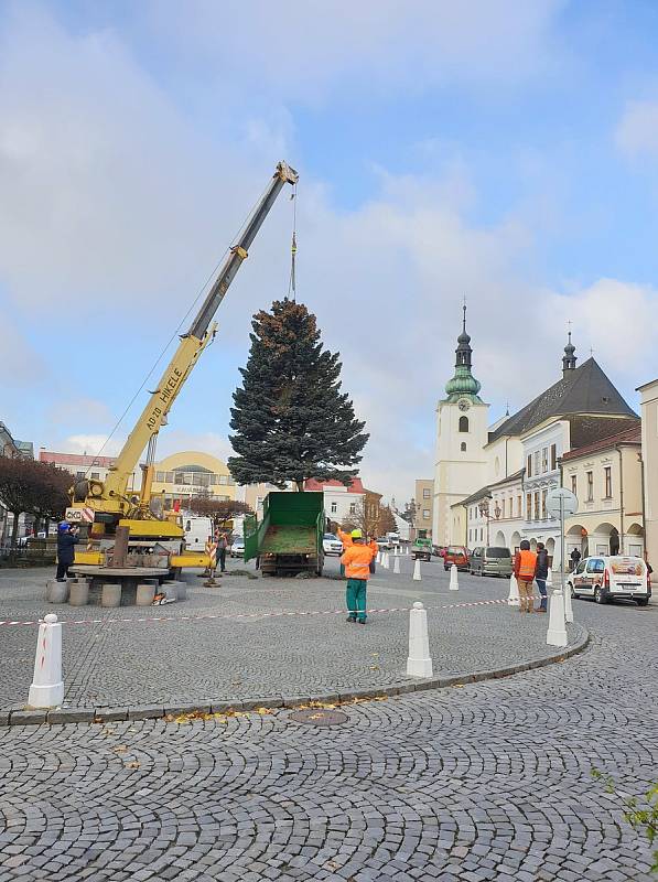 Z Rumunské ulice na náměstí Míru doputoval vánoční strom Svitav.