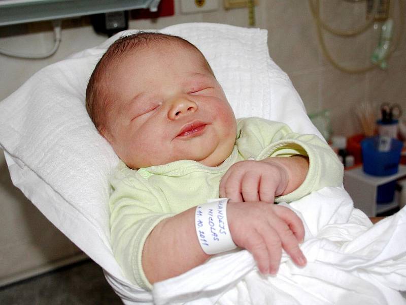 NICOLAS BRANDEJS. V úterý 11. října šestnáct minut po osmé hodině ráno se Petře a Vlastimilovi ze Svitav narodil první syn. Ve svitavské porodnici chlapečkovi naměřili 52 centimetrů a navážili 3,65 kilogramu. 
