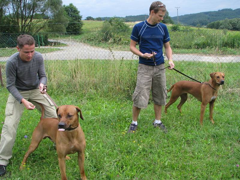 Majitelé rhodézkých ridgebacků se sešli na společném táboře v rekreačním areálu na Svojanově u Moravské Třebové