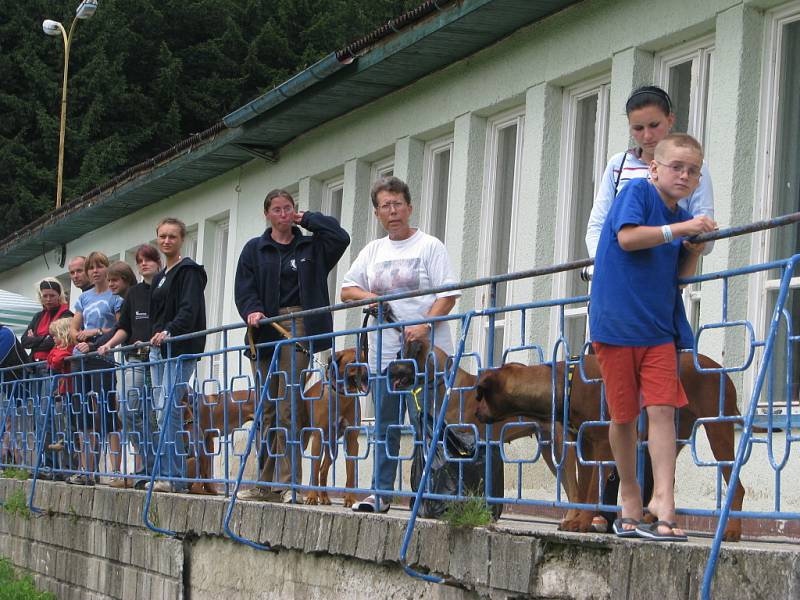 Majitelé rhodézkých ridgebacků se sešli na společném táboře v rekreačním areálu na Svojanově u Moravské Třebové