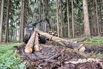 V lesích u Svitav vytěžila technika stovky kubíků dřeva na opravu domů na jižní Moravě.