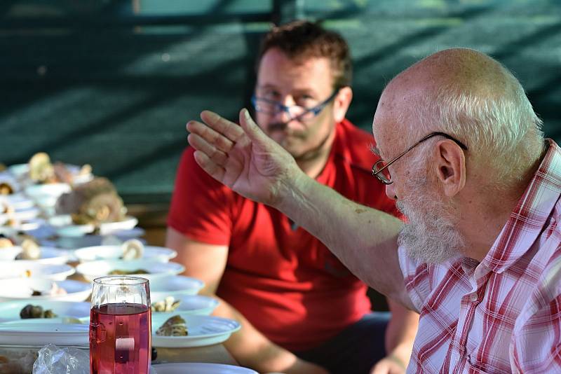 Jiří Kohák je členem Mykologického klubu Dolní Újezd a rád poradí všem lidem, kteří se zajímají o houby.