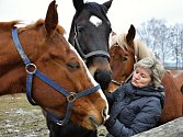Jitka Jandlová se svými koňmi