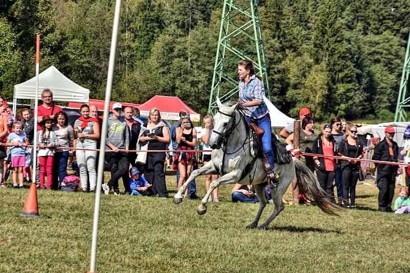 DESÍTKY KONÍ  se předvedly v neděli na jubilejním 20. ročníku Formanského dne v Borové u Poličky.