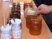 VČELÍM PRODUKTŮM byl věnován tradiční Den medu v Litomyšli.
