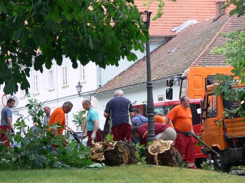 Vichřice likvidovala i stromy na zámeckém nádvoří