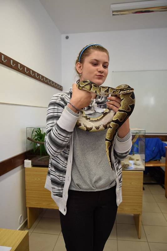 Technohrátky v Litomyšli