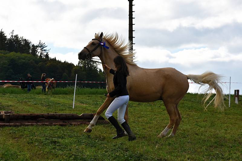 3. ročník oblastní přehlídky koní na festivalu Biskupické kaléšek v Biskupicích u Jevíčka. Divákům se představilo 20 koní.