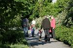Rododendrony lákají obyvatele města do svitavského parku.