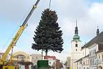 Z Rumunské ulice na náměstí Míru doputoval vánoční strom Svitav.