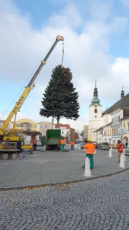 Z Rumunské ulice na náměstí Míru doputoval vánoční strom Svitav.