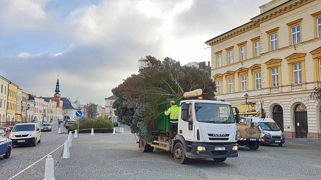 Z Rumunské ulice na náměstí Míru doputoval vánoční strom Svitav.