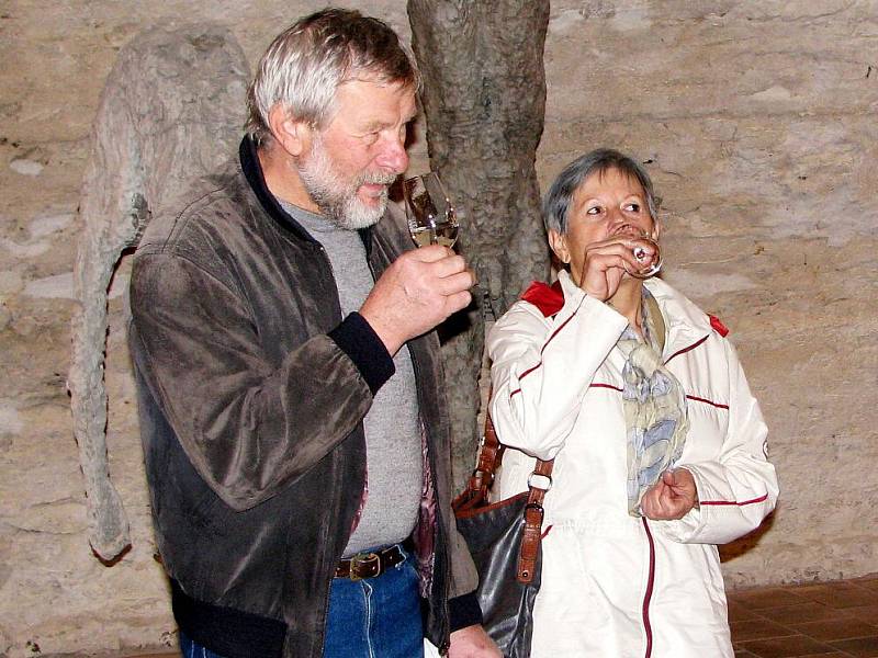 Lidé koštovali mezi sochami Olbrama Zoubka Svatomartinská a mladá vína z letošní sklizně.